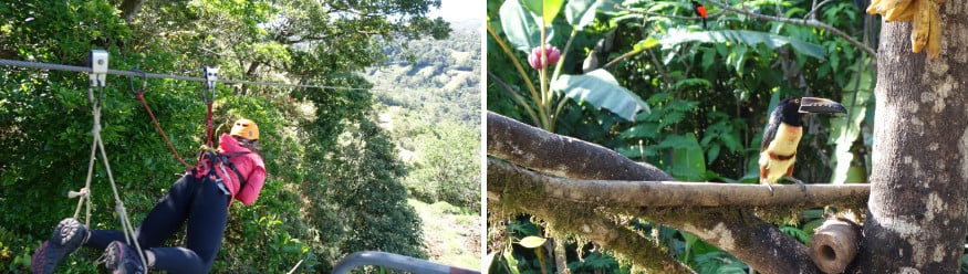 Monteverde Kostarika