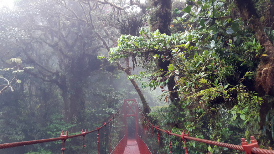 Mlžný les Monteverde (Kostarika)